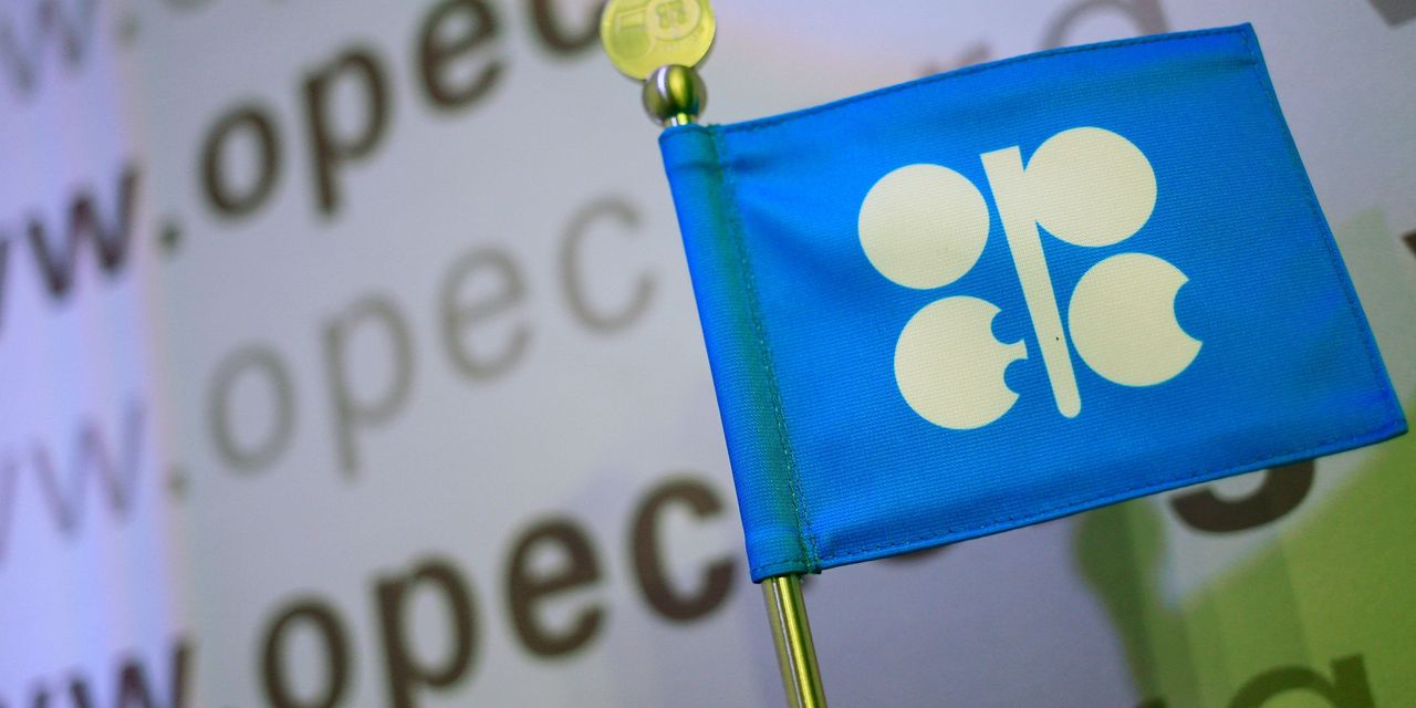 Don't expect any surprises from OPEC+, even as recession worries weigh on oil prices