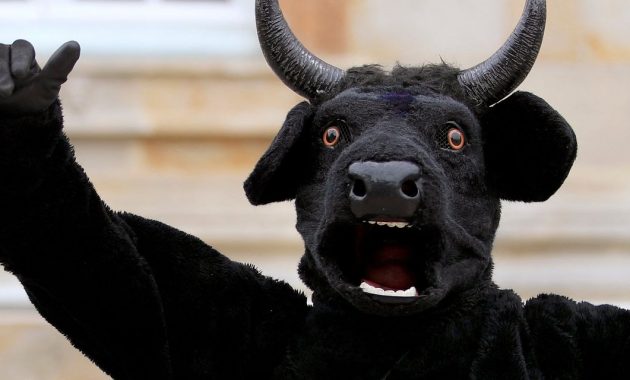 The stock market's next big rally might just be a bear in bull's clothing