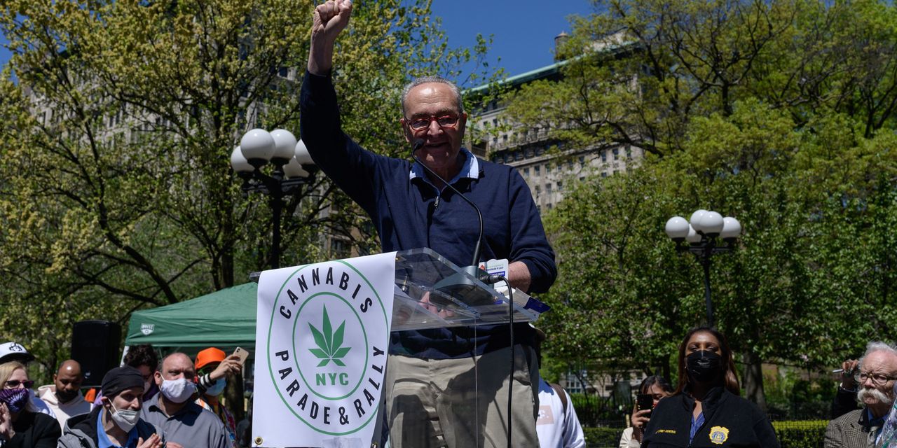 Chuck Schumer leads wide-ranging Senate bill to remove cannabis from federal list of controlled substances