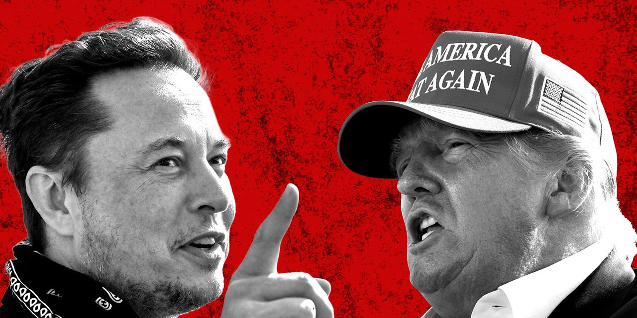 Elon Musk tells Trump to 'hang up his hat and sail into the sunset'