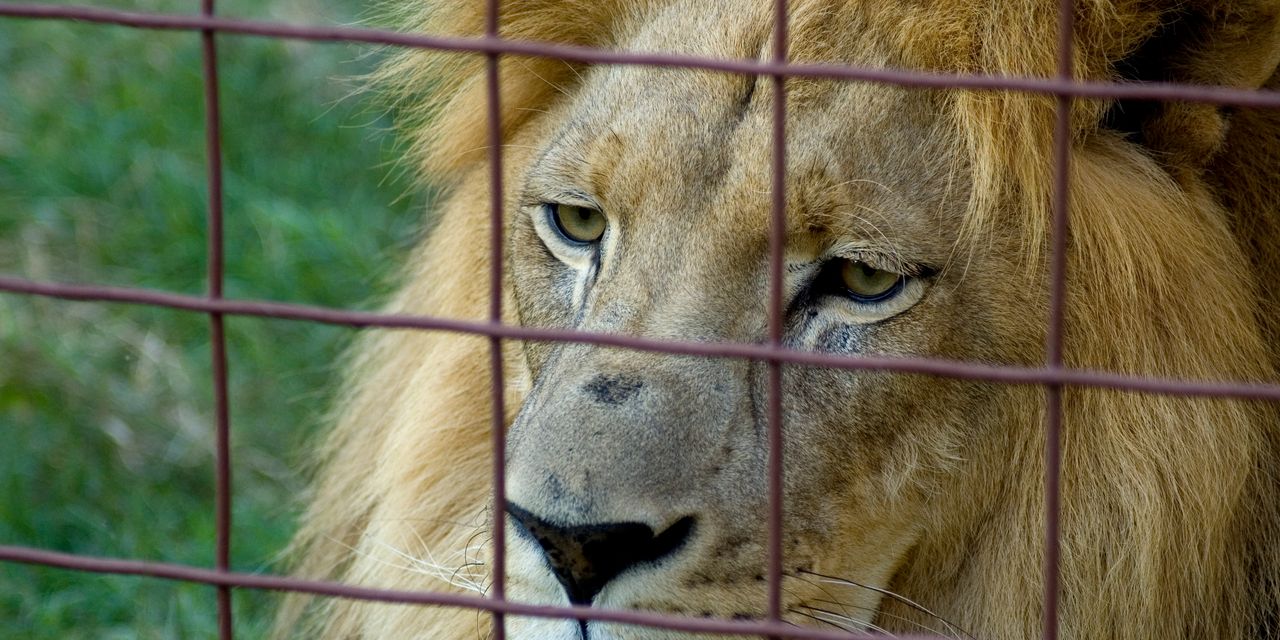 Opinion: The Fed is not going to stop until inflation is locked back in its cage