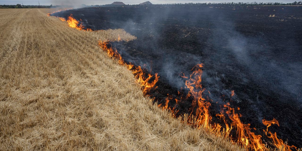 Ukraine, Russia set to sign deal on resuming grain exports