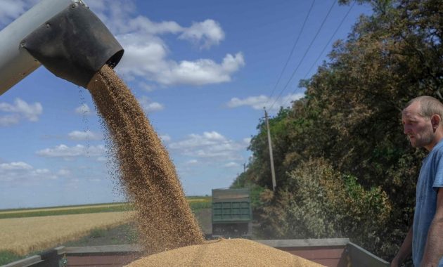 Wheat futures settle at a 5-month low after Ukraine grain-export deal