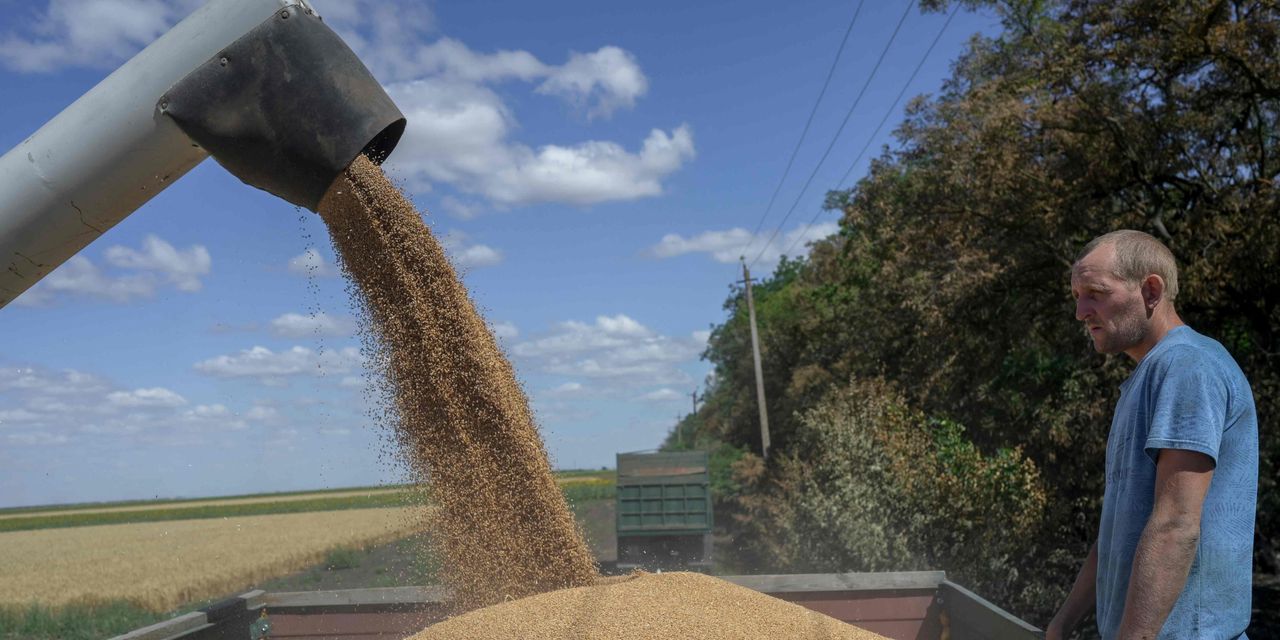 Wheat futures settle at a 5-month low after Ukraine grain-export deal