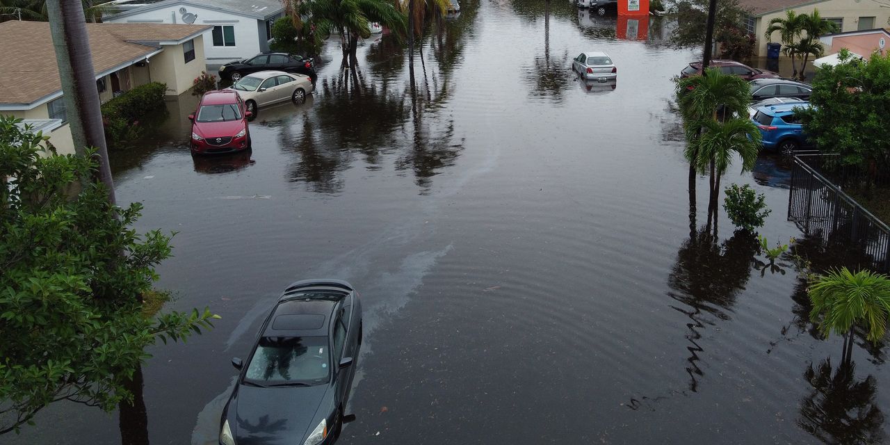 Opinion: Florida’s insurance rates have almost doubled over five years, yet insurance companies are still losing money --- and the reason is more insidious than hurricanes