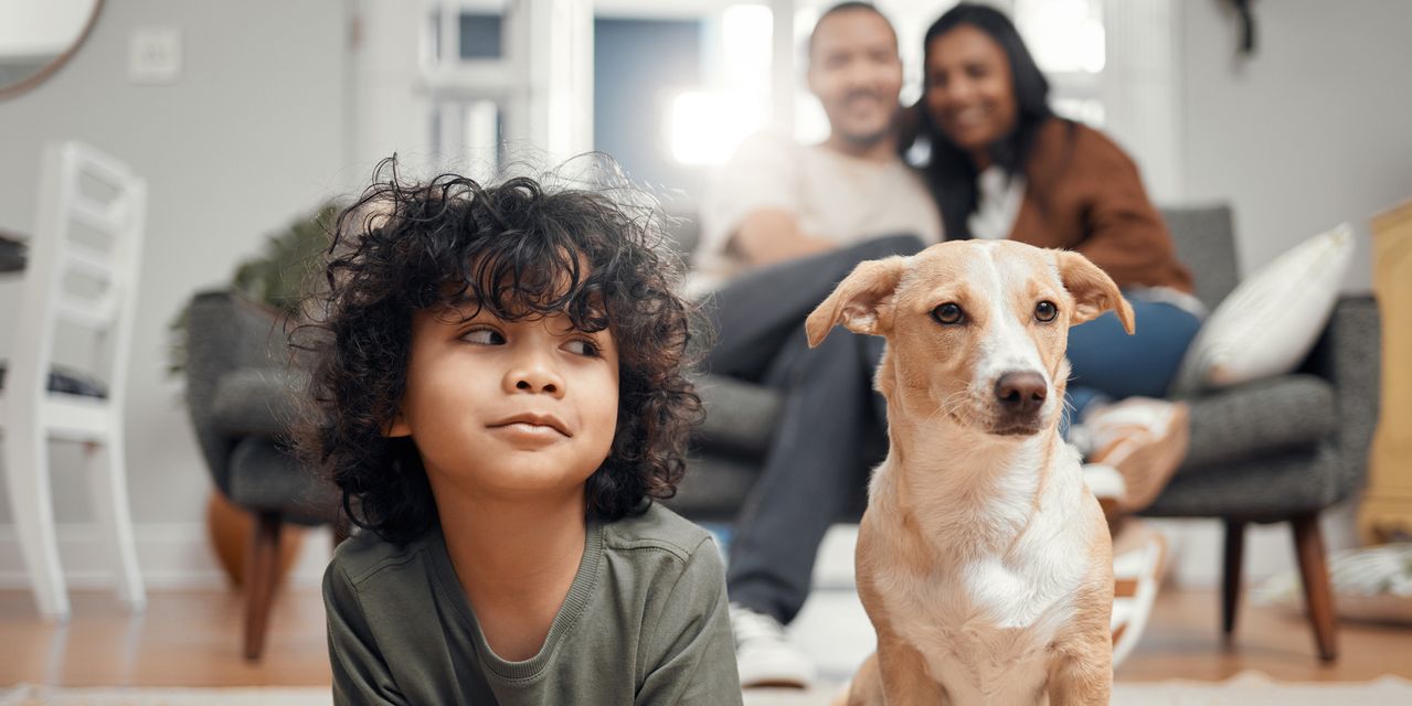 Landlords are charging tenants 'pet rent' and $600 fees. Some pet owners, already under pressure from rising rents, are not happy.