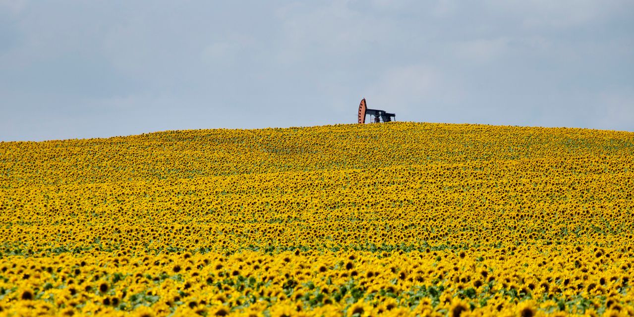 Oil on track for weekly fall amid recession fears