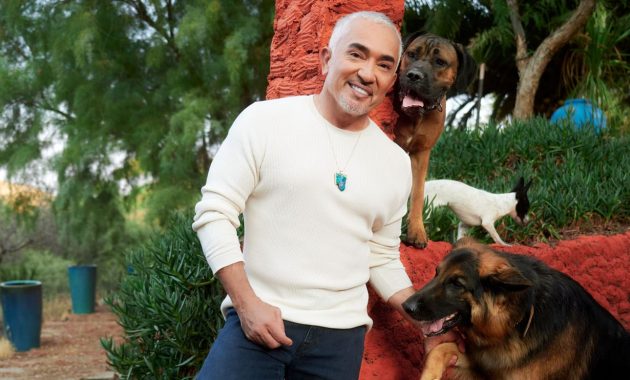 'Dog whisperer' Cesar Millan: It's not true that certain breeds are smarter