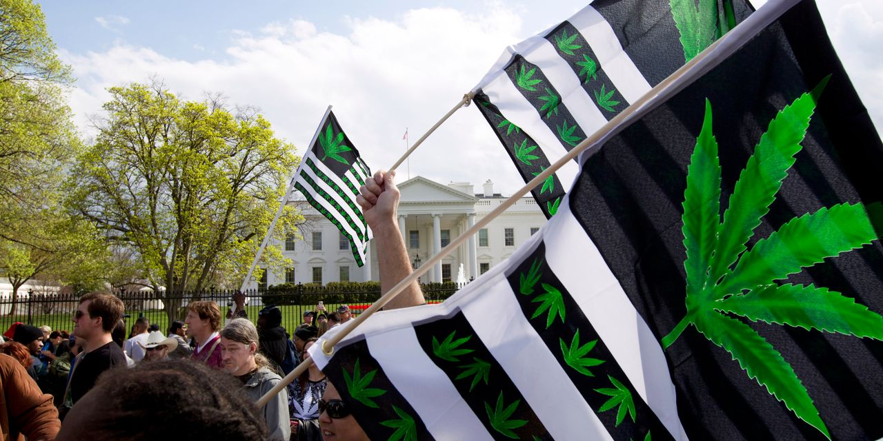 Maryland, Missouri voters seen as more cannabis-friendly as pot ballots await in five states